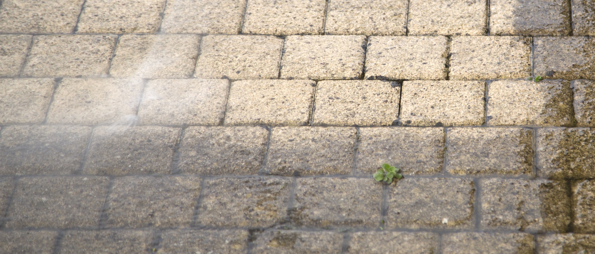 flagging and patios SE10