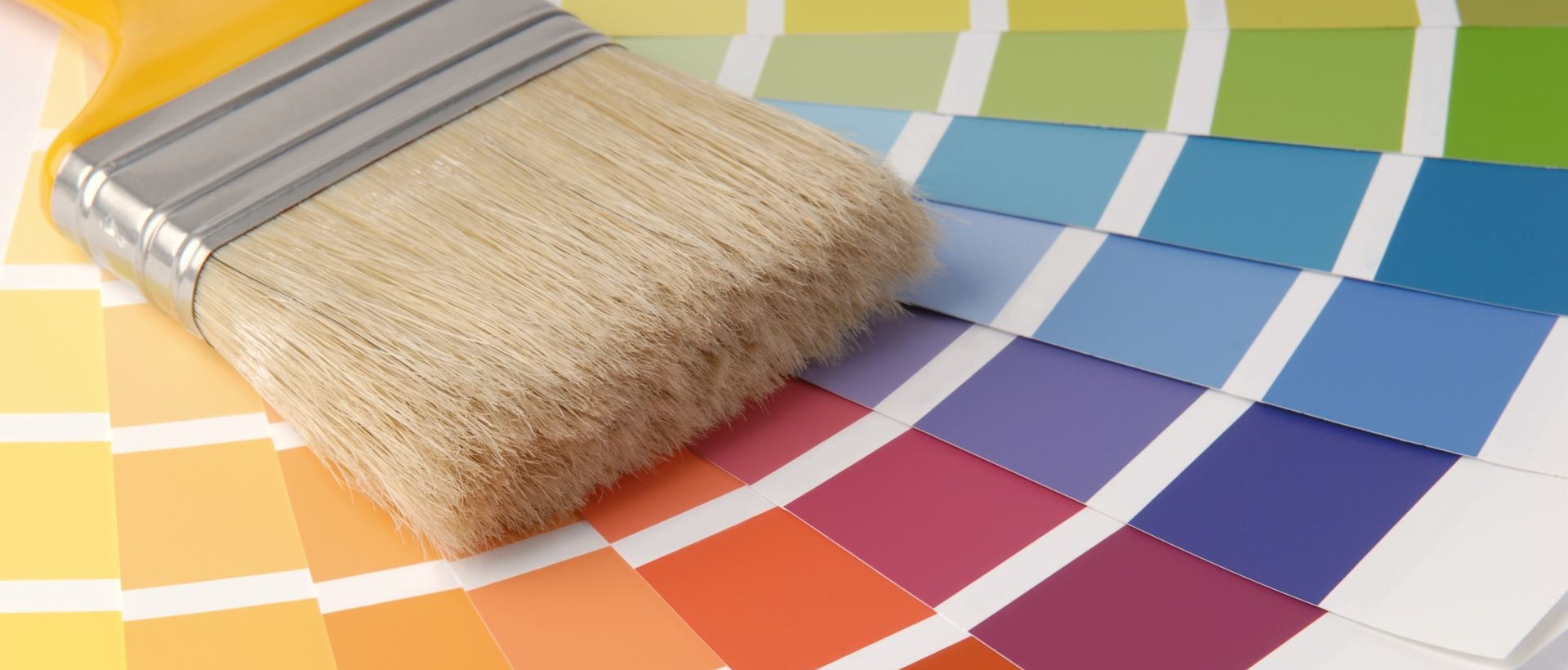 Painter SE10